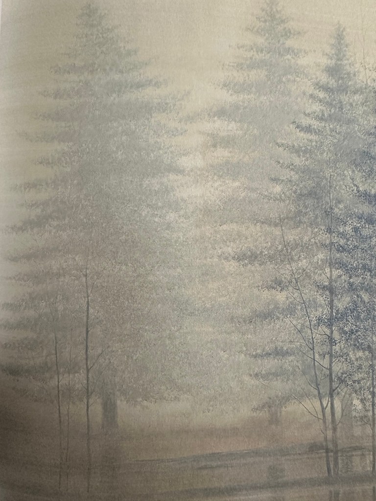 image de brouillard flou pour illustrer la partie blocage et schémas répétitifs